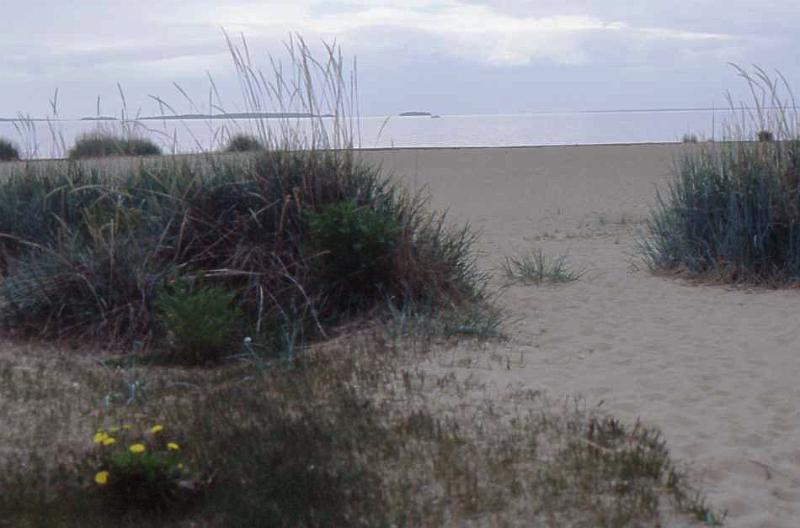 45-Oulu (spiaggia di Nallikari),15 giugno 2008.jpg